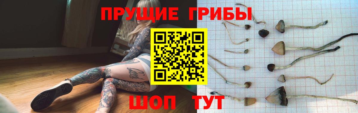 Галлюциногенные грибы Magic Shrooms  Вход с VPN  Когалым  Псилоцибиновые грибы GOLDEN TEACHER 